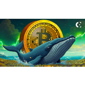 比特币巨鲸转移10亿美元BTC，沉睡投资者苏醒后获得3,176,464%的投资回报