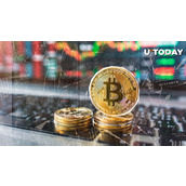 比特币波动性骤降，正转型为避险资产