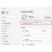 Win11热点连接成功但没网？Win11移动热点和网络冲突的解决方法
