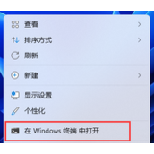怎么看电脑型号？Win11查看电脑型号的三种方法