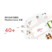 Elessi 主题 v6.4.3 汉化版  #8211  WooCommerce AJAX 主题