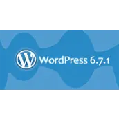WordPress 6.7.1 修复了翻译加载问题及其它 15 个 Bug