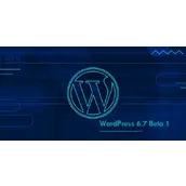 探索 WordPress 6.7 Beta 1 的亮点与进展