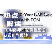 质押TON换阿联酋黄金签证？发布20小时即遭反转