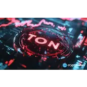 阿联酋当局拒绝基于Toncoin加密货币的签证提议