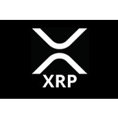 专家询问XRP持有者：达成10,000枚XRP目标后下一步怎么走