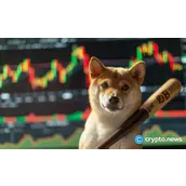 Fartcoin面临回调，Floki保持涨幅，SHIB势头不足