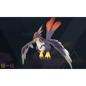 幻兽帕鲁疾风隼技能是什么 帕鲁疾风隼技能介绍