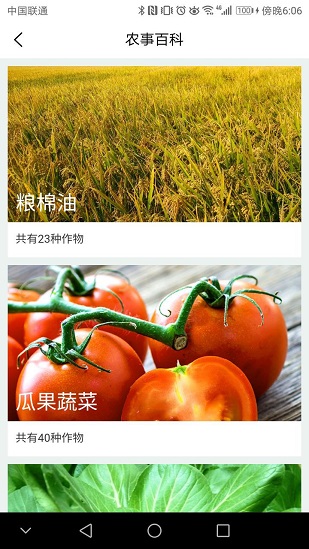 寿光蔬菜正版
