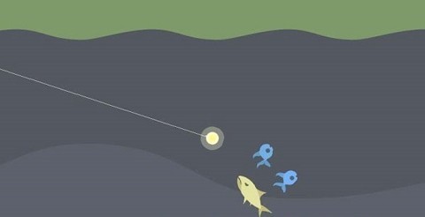 小猫钓鱼河马哥