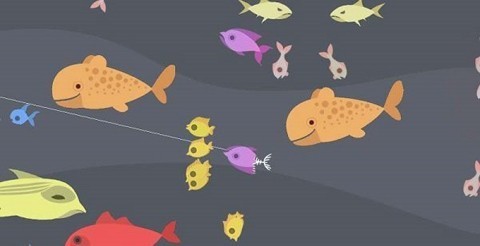 小猫钓鱼河马哥