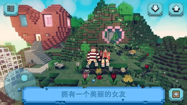 我的方块女友