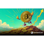 比特币时代走向成熟，更多国家将比特币与黄金一同纳入储备资产