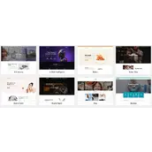 Avas 主题 v6.8.4.3 汉化版    面向 Elementor 的多用途主题