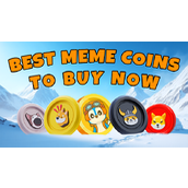 未来收益在召唤：长期持有的三大最佳迷因币——Floki Inu和Book Of Meme飙升之际，Arctic Pablo爆炸性预售火热进行中