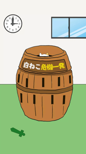 我的貓咪呢