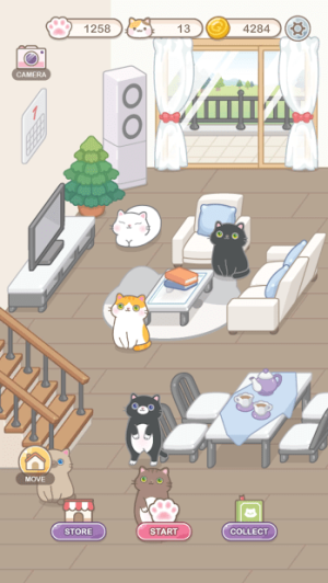 猫保姆非图