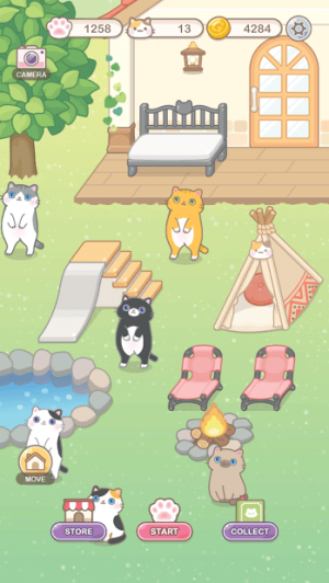 猫保姆非图