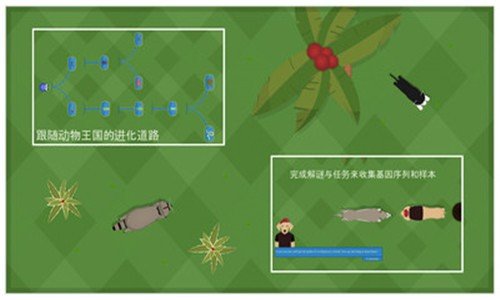动物进化