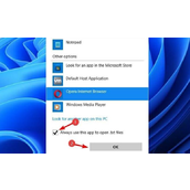 Win11如何更改默认打开方式？Win11更改默认打开方式的方法