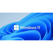 正版Win10如何升级Win11？正版Win10一键升级Win11系统教程