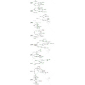 哈利波特禁林手记路线分支选哪个?禁林手记路线分支探索攻略
