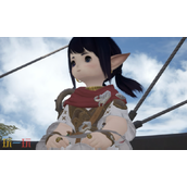 最终幻想14水晶世界时尚品鉴第二期怎么搭 第二期满分攻略