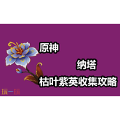 原神枯叶紫英在哪里采集 枯叶紫英采集位置大全