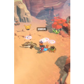 曙光重临宠物怎么进化 红宠橙宠进化条件详解