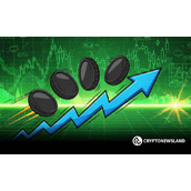 想找到2025年最大的赢家？从这4个代币开始