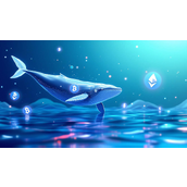 鲸鱼效应：驾驭加密货币浪潮