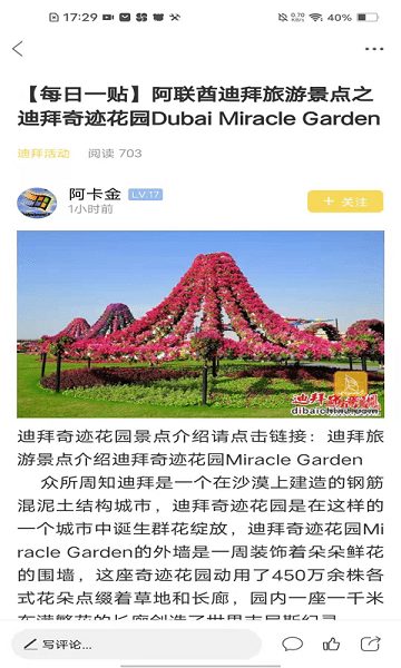 迪中传媒网app