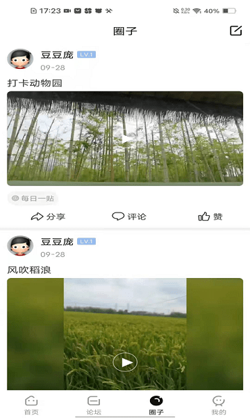 迪中传媒网app