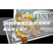 [狗狗币暴涨了多少]狗狗币最近涨了多少