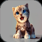 真实小猫3D模拟