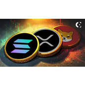 老币种领涨，迷你“山寨季”序幕已拉开？