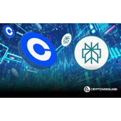 在这些山寨币价格起飞前买入