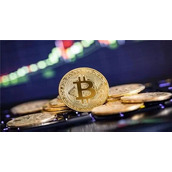 牛市信号推动、交易平台增持 ORDI现“过山车”行情