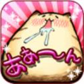 小马发型