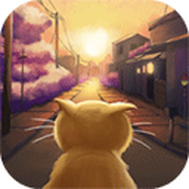 流浪的橘猫侠手机版
