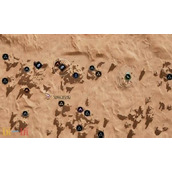 沙丘觉醒如何避开恐怖沙虫 避开恐怖沙虫方法介绍