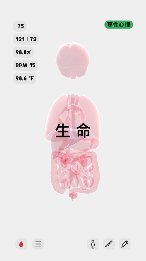 生命人体模拟器life