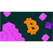 屎币抹茶交易平台下载v6.6.4免费版