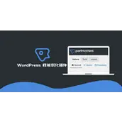 Perfmatters v2.4.7 汉化版    轻量级 WordPress 优化插件
