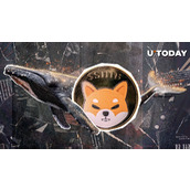 新加坡巨鲸单笔交易鲸吞258,545,909,814枚SHIB