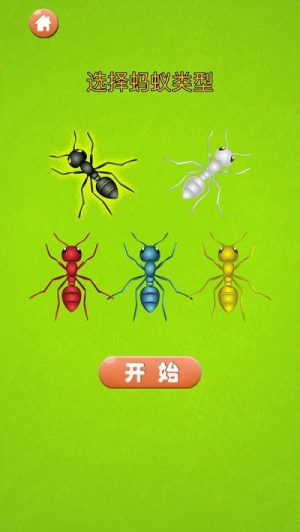 蚂蚁大战手机版