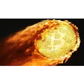 全球舞台上的比特币：巴基斯坦与萨尔瓦多交流经验