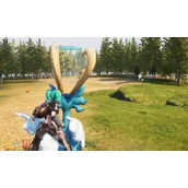 幻兽帕鲁渡岛海岸可以收集什么 帕鲁渡岛海岸详细收集方法