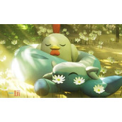 幻兽帕鲁纯白雪原收集点是什么 帕鲁纯白雪原收集地点一览