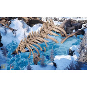 幻兽帕鲁基因研究部队高塔资源丰富吗 帕鲁基因研究部队收集攻略